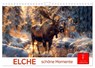 Elche - schöne Momente (Wandkalender 2025 DIN A4 quer), CALVENDO Monatskalender -  - 9783383829468