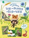 Geh hinaus und entdecke. Tiere und Pflanzen auf Feld und Wiese - Friederun Reichenstetter - 9783401721163