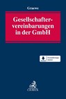 Gesellschaftervereinbarungen in der GmbH - Daniel Graewe - 9783406747953