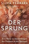 Der Sprung - Silvia Ferrara - 9783406797828