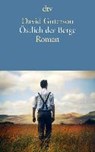 Östlich der Berge - GUTERSON,  David - 9783423145084