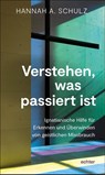 Durch Nebel hindurch - Hannah A. Schulz - 9783429058005