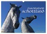 Faszination Schottland 2025 (Wandkalender 2025 DIN A3 quer), CALVENDO Monatskalender -  - 9783435734351