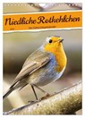 Niedliche Rotkehlchen (Wandkalender 2025 DIN A4 hoch), CALVENDO Monatskalender -  - 9783435881208