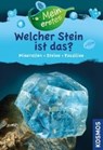 Mein erstes Welcher Stein ist das? - HOCHLEITNER,  Rupert - 9783440147368