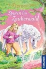 Chapmann, L: Sternenschweif, 11, Spuren im Zauberwald - CHAPMANN,  Linda ; Hull, Biz - 9783440160602