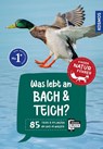 Was lebt an Bach und Teich? Kindernaturführer - Anita van Saan - 9783440182116