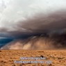 Meteorologischer Postkarten-Kalender 2026 -  - 9783443011826