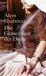 Die Gemeinheit der Diebe - Alem Grabovac - 9783446279384