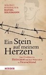 Birnbaum, S: Stein auf meinem Herzen - BIRNBAUM,  Shlomo ; Seligmann, Rafael - 9783451375866