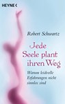 Jede Seele plant ihren Weg - Robert Schwartz - 9783453703179