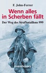 Wenn alles in Scherben fällt - F. John-Ferrer - 9783475544347