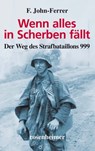 Wenn alles in Scherben fällt - F. John-Ferrer - 9783475544538