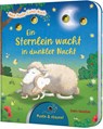Mein Puste-Licht-Buch: Ein Sternlein wacht in dunkler Nacht - Sylvia Tress - 9783480237418
