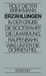Erzählungen - Rolf Dieter Brinkmann - 9783498004934