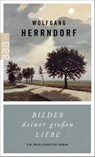 Bilder deiner grossen Liebe - Wolfgang Herrndorf - 9783499269097