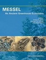 MESSEL - An Ancient Greenhouse Ecosystem - Krister T. Smith ; Stephan F. K. Schaal ; Jörg Habersetzer - 9783510614110