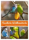 Niedliche Wellensittiche (Wandkalender 2026 DIN A3 hoch), CALVENDO Monatskalender -  - 9783516335859