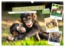 TIERKINDER Abenteuer Wildnis (Wandkalender 2026 DIN A3 quer), CALVENDO Monatskalender -  - 9783516593983