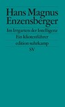 Im Irrgarten der Intelligenz - Hans Magnus Enzensberger - 9783518125328