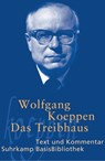 Das Treibhaus - Wolfgang Koeppen - 9783518188767