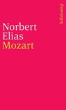 Gesammelte Schriften in 19 Bänden - Norbert Elias - 9783518244272