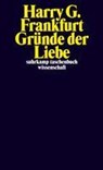 Gründe der Liebe - Harry G. Frankfurt - 9783518297117