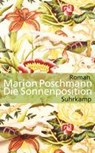 Die Sonnenposition - Marion Poschmann - 9783518465462