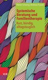 Systemische Beratung und Familientherapie - kurz, bundig, alltagstauglich - Rainer Schwing ; Andreas Fryszer - 9783525453766