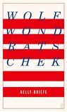 Kelly-Briefe - Wolf Wondratschek - 9783550201967