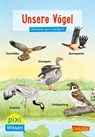 Pixi Wissen 108: VE 5 Unsere Vögel (5 Exemplare) - Bärbel Oftring - 9783551231659