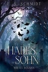 Hadessohn - wie es begann - E. S. Schmidt - 9783565427345