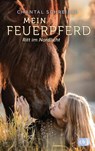 Mein Feuerpferd - Ritt im Nordlicht - Chantal Schreiber - 9783570179017
