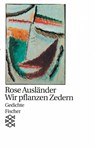 Wir pflanzen Zedern - Rose Ausländer - 9783596111558