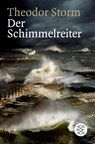 Der Schimmelreiter - Theodor Storm - 9783596159826