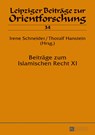 Beitraege zum Islamischen Recht XI - Irene Schneider ; Thoralf Hanstein - 9783631680926