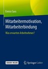 Mitarbeitermotivation, Mitarbeiterbindung - Enrico Sass - 9783658246488