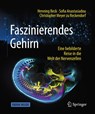 Faszinierendes Gehirn - Henning Beck ; Sofia Anastasiadou ; Christopher Meyer zu Reckendorf - 9783662547557