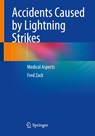 Accidents Caused by Lightning Strikes - Fred Zack - 9783662710685