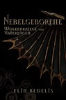 Wolkenkriege und Vaterlügen - Elin Bedelis - 9783690287340