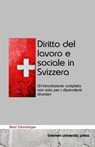 Diritto del lavoro e sociale in Svizzera - Beat Schmidinger - 9783690352215