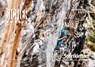 Sicher am Berg: Sportklettern - Gerhard Mössmer ; Markus Schwaiger ; Michael Larcher - 9783702240042