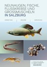 Neunaugen, Fische, Flusskrebse und Großmuscheln in Salzburg - Martin Weinländer ; Andreas Unterweger ; Renate Schrempf - 9783702511692