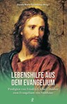 Lebenshilfe aus dem Evangelium - Friedrich Albert Hauber - 9783717113621