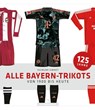 Alle Bayern-Trikots - Raimund Simmet - 9783730707319