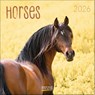 Horses 2026 -  - 9783731883807