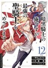 Dark Paladin 12 - Fumikaru Nishijima - 9783732027545