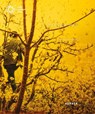 Maximilian Prufer - Bettina Zorn - 9783735609151