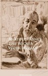 The Wicker Work Woman - Anatole France - 9783736414990