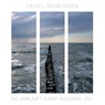 Die Ankunft einer anderen Zeit - Daniel Scheidgen - 9783740724603